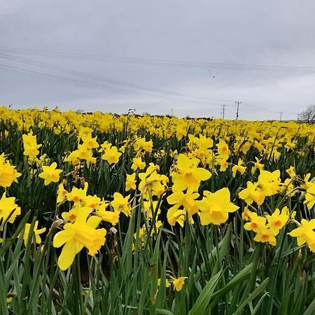Cosy Country Getaway, 5 Mins From The Sea Villa Penzance Eksteriør bilde