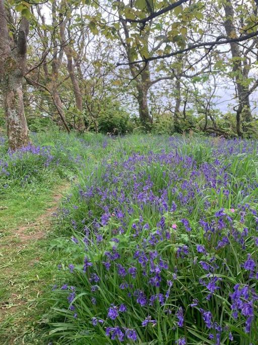 Cosy Country Getaway, 5 Mins From The Sea Villa Penzance Eksteriør bilde